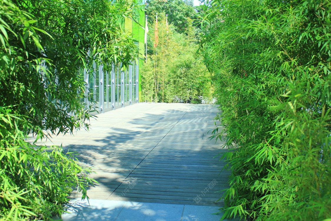 北京三里屯北小区_三里屯北小区null