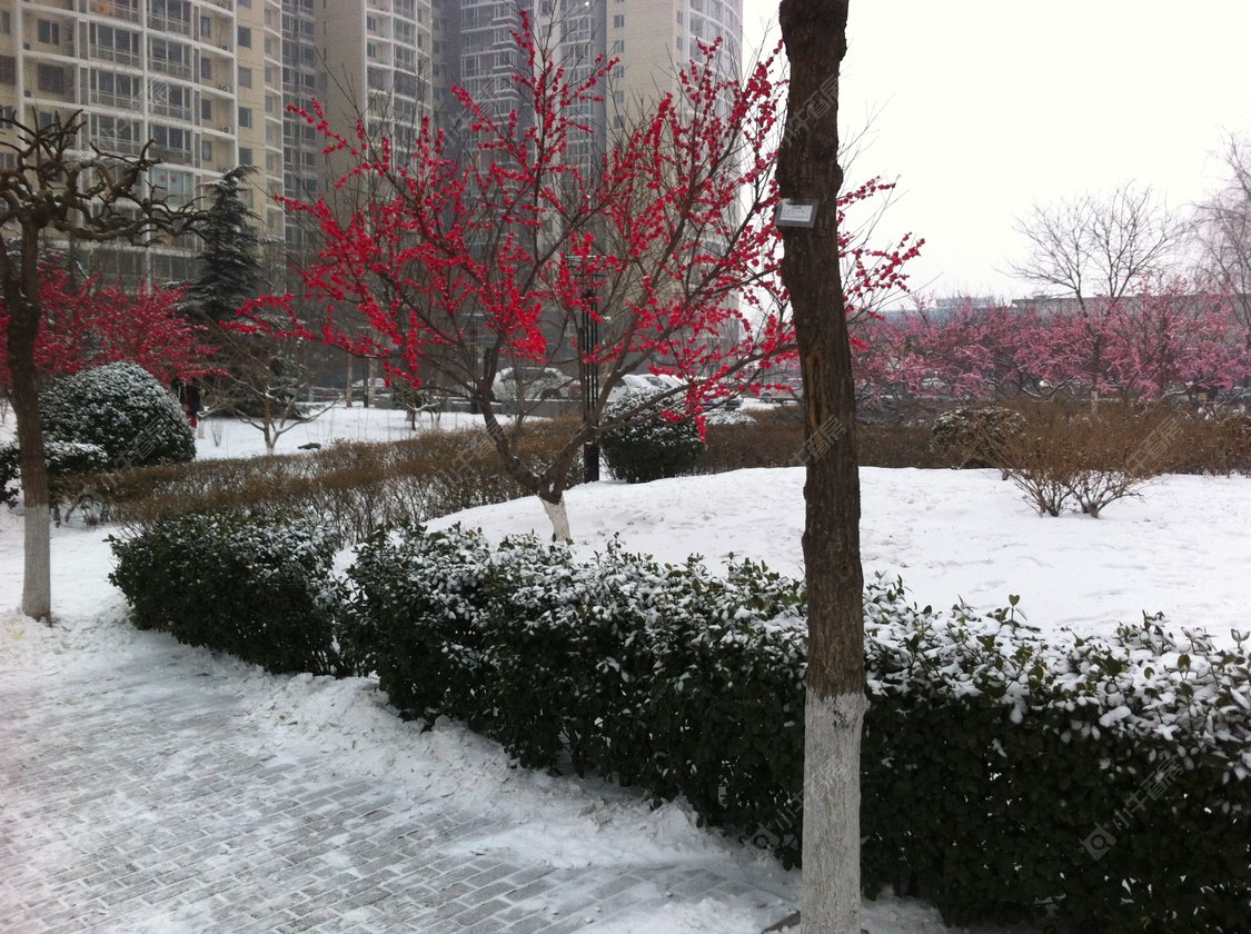 北京首经贸中街1号院小区_首经贸中街1号院小区null