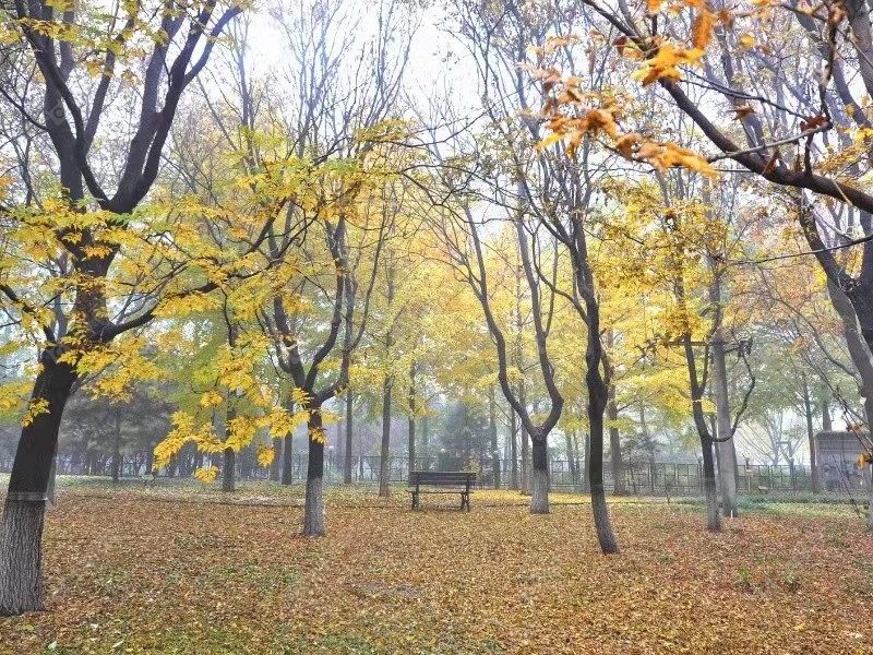 北京诚品建筑小区_诚品建筑小区null