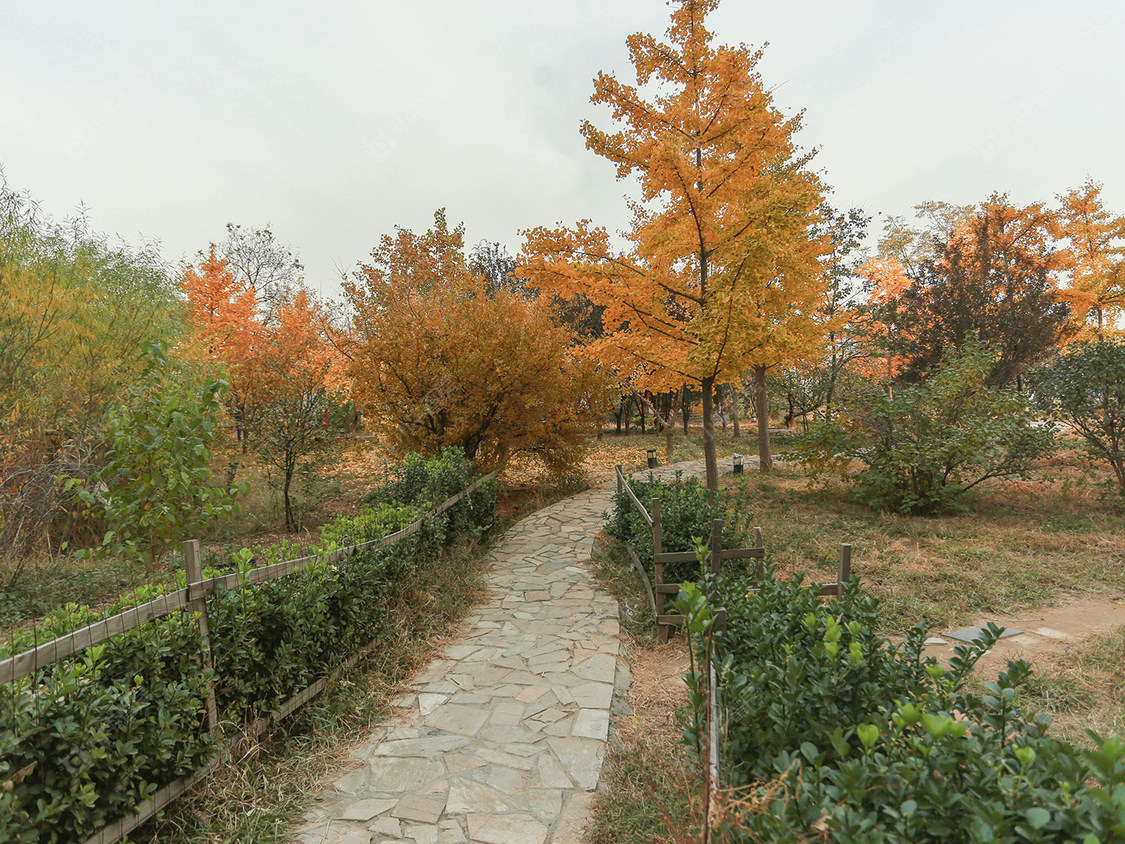 北京公园两栋小区_公园两栋小区null