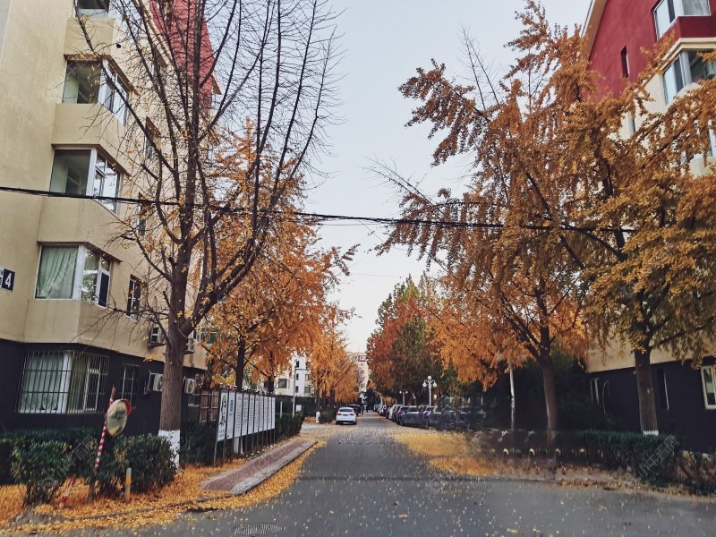 北京名流花园小区_小牛看房