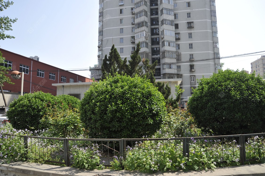 北京顺四条37号院小区_顺四条37号院小区null