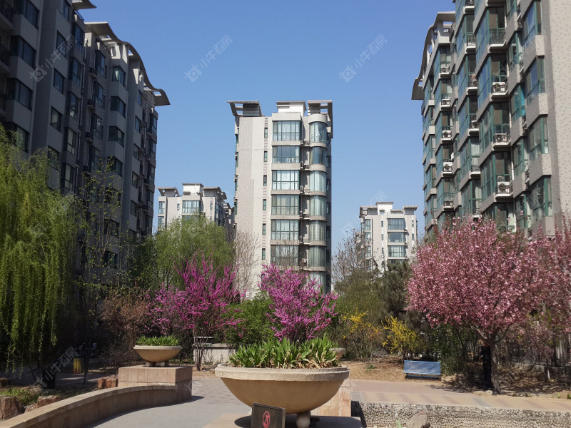 上海沙龙封面图_小牛看房