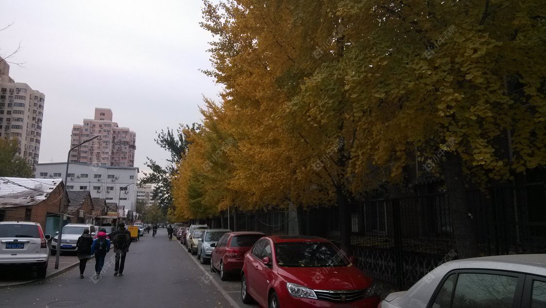 北京科委宿舍小区_小牛看房