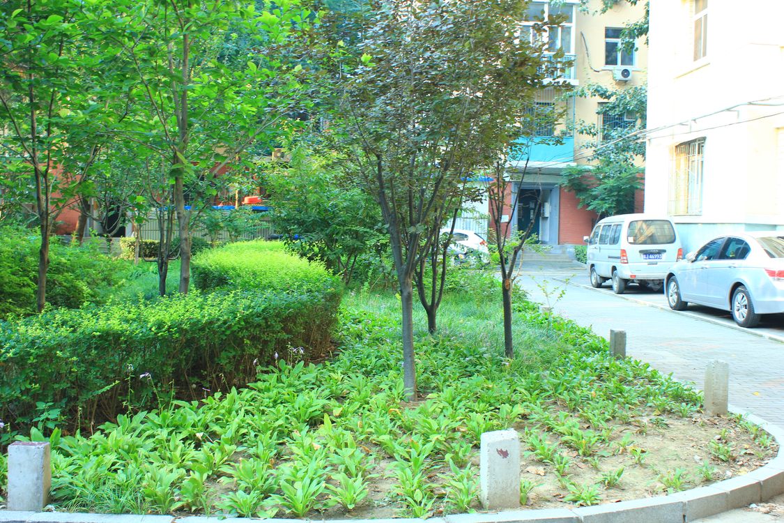 北京三里屯南小区_三里屯南小区null