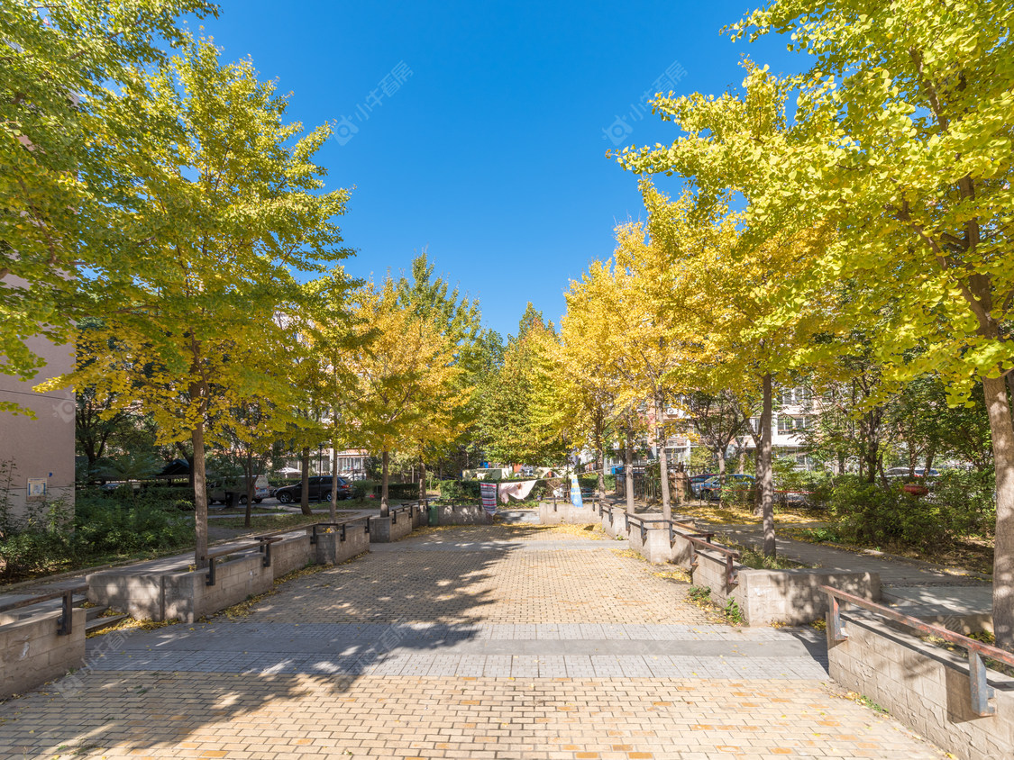 北京龙跃苑二区小区_龙跃苑二区小区null