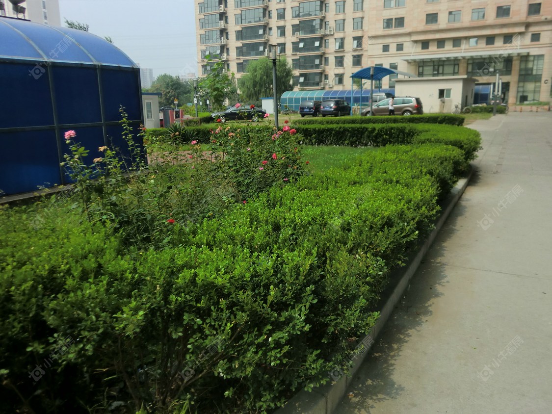 北京牛顿办公区小区_牛顿办公区小区null