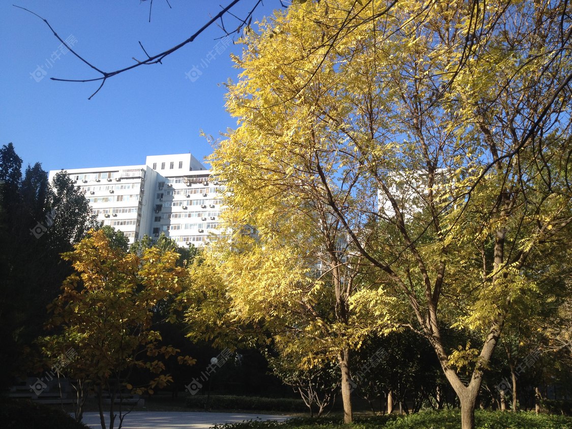 北京南三环东路小区_南三环东路小区null