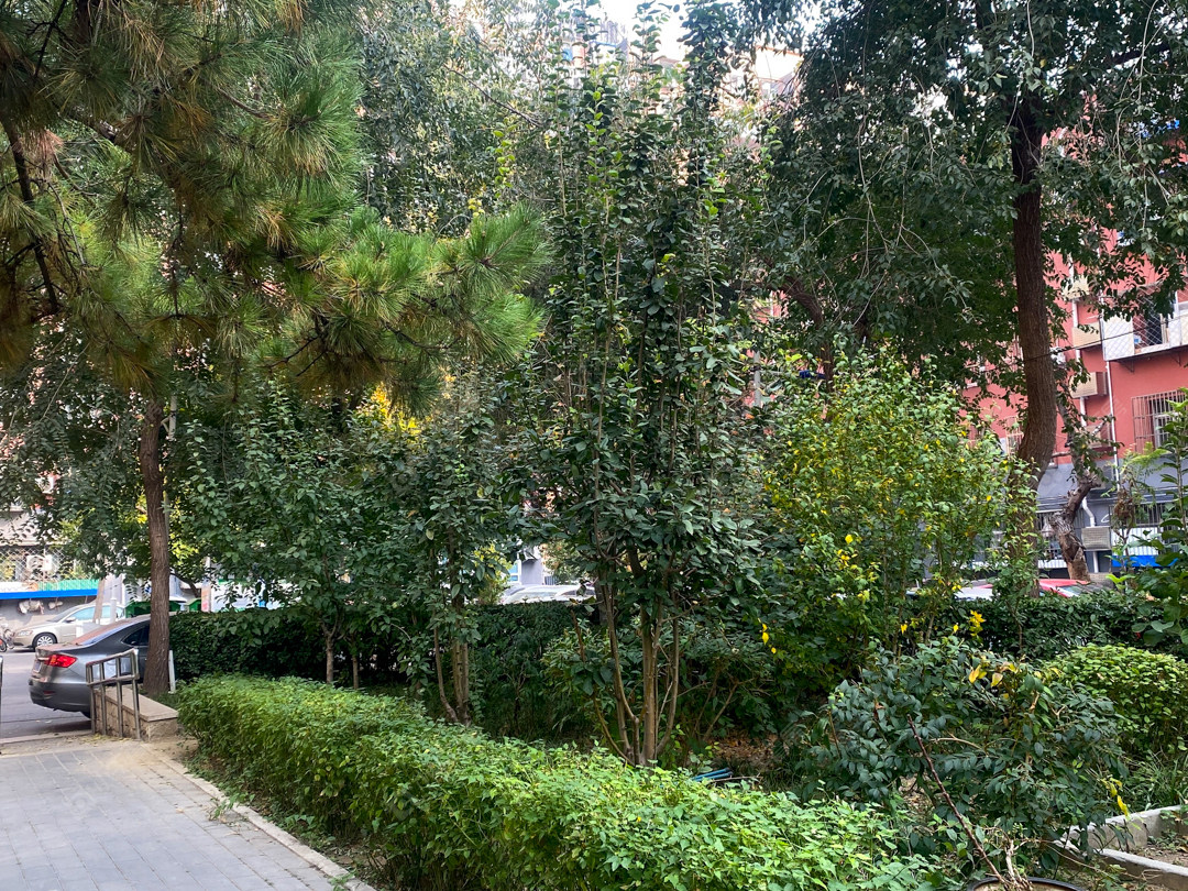 北京月坛北街甲1号院小区_月坛北街甲1号院小区null