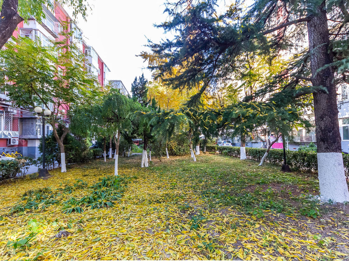 北京安翔南里小区_安翔南里小区null