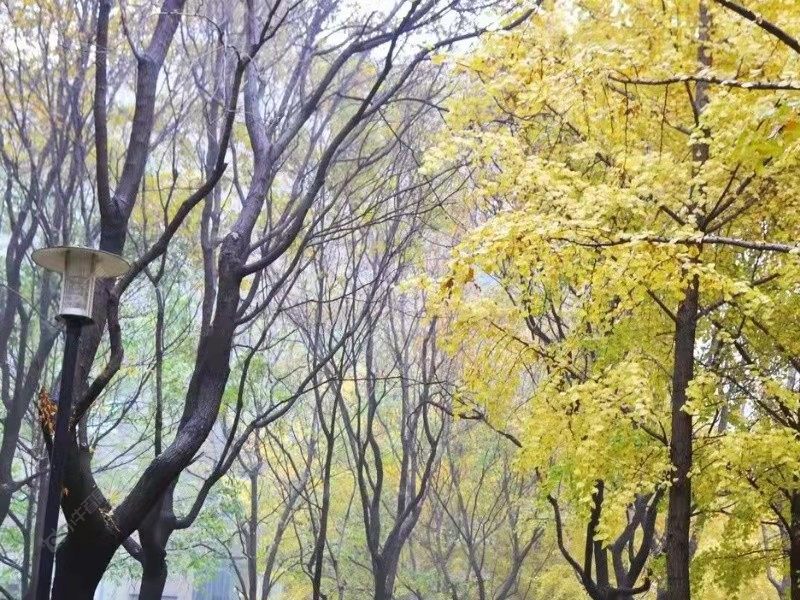 北京诚品建筑小区_小牛看房