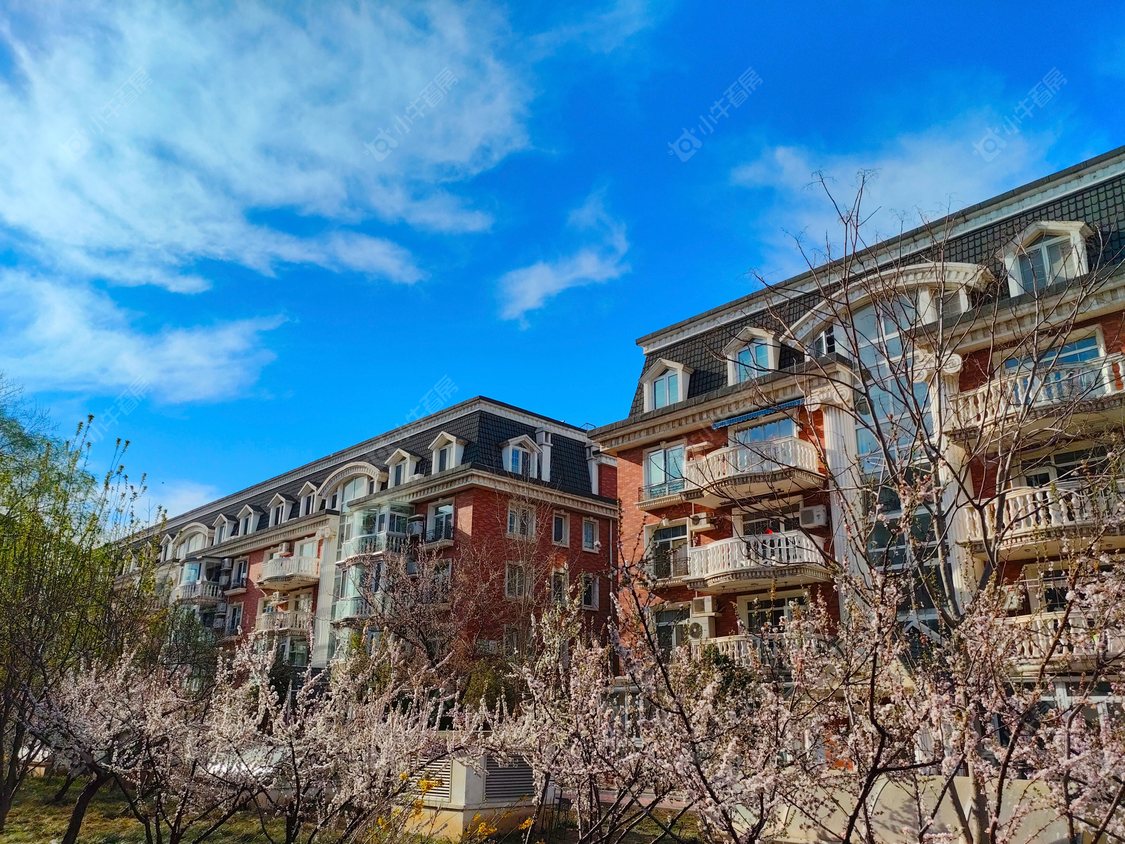 北京圆明园花园别墅小区_圆明园花园别墅小区null