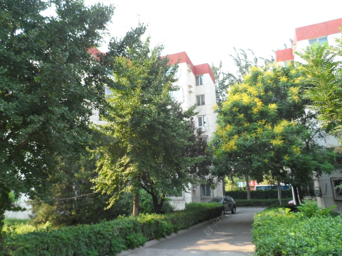 北京望京西园二区小区_小牛看房