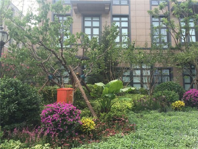北京韩建·观山源墅在售新楼盘null