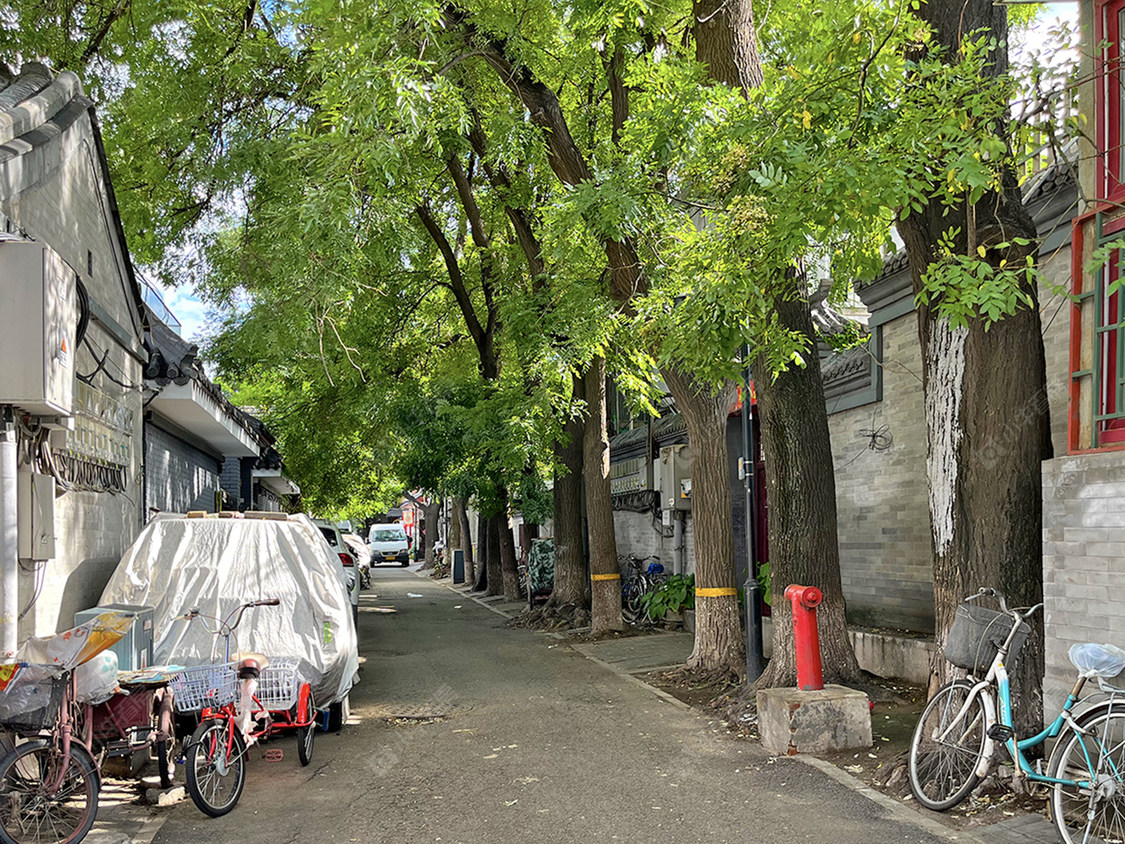 北京赵府街小区_赵府街小区null