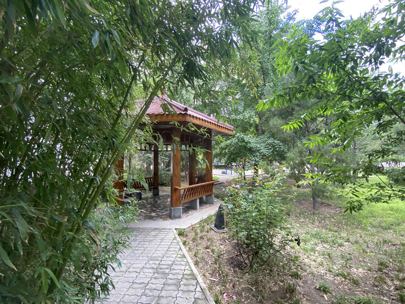 北京社会科学院小区_社会科学院小区null