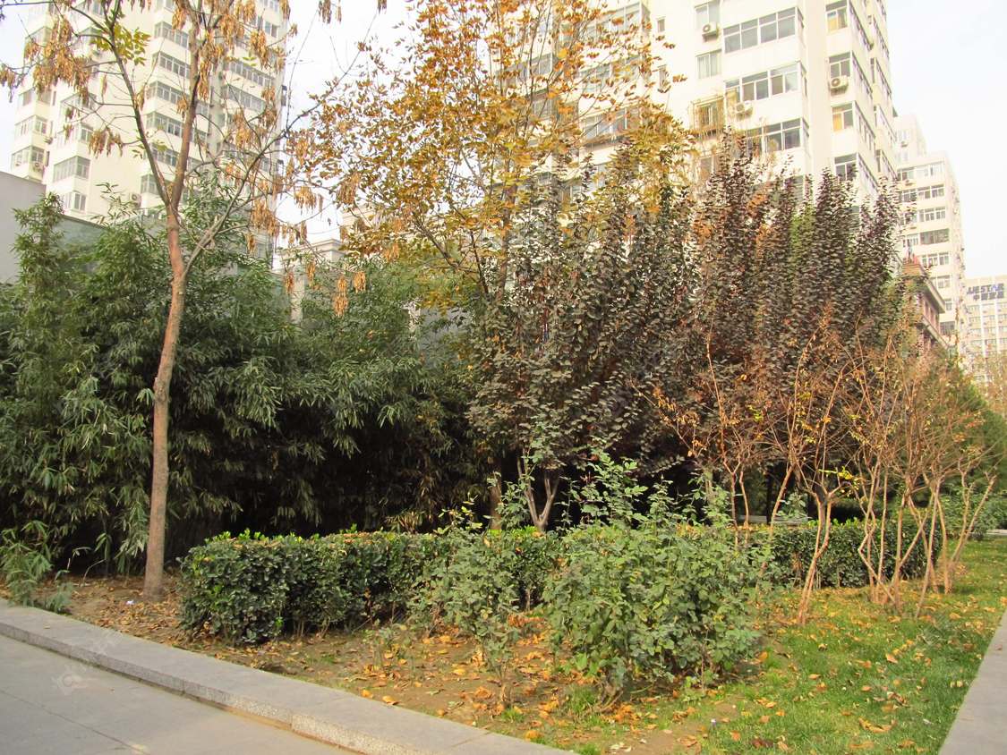 北京和平西街小区_和平西街小区null