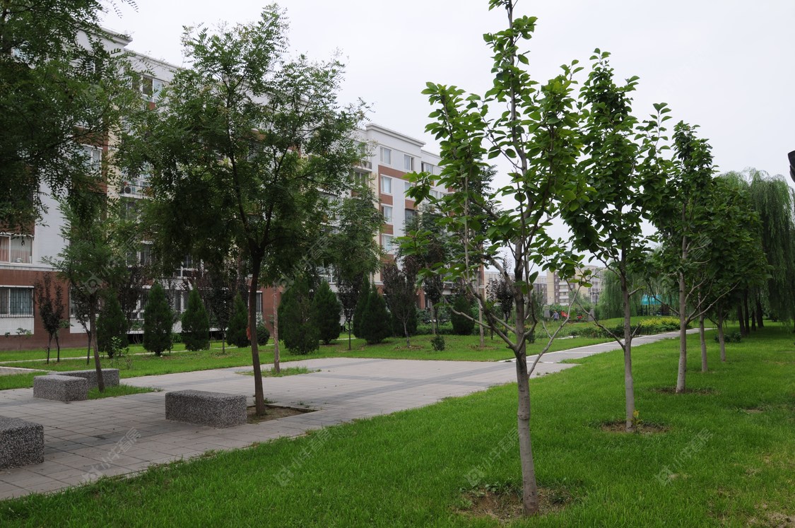 北京龙锦苑东三区小区_龙锦苑东三区小区null