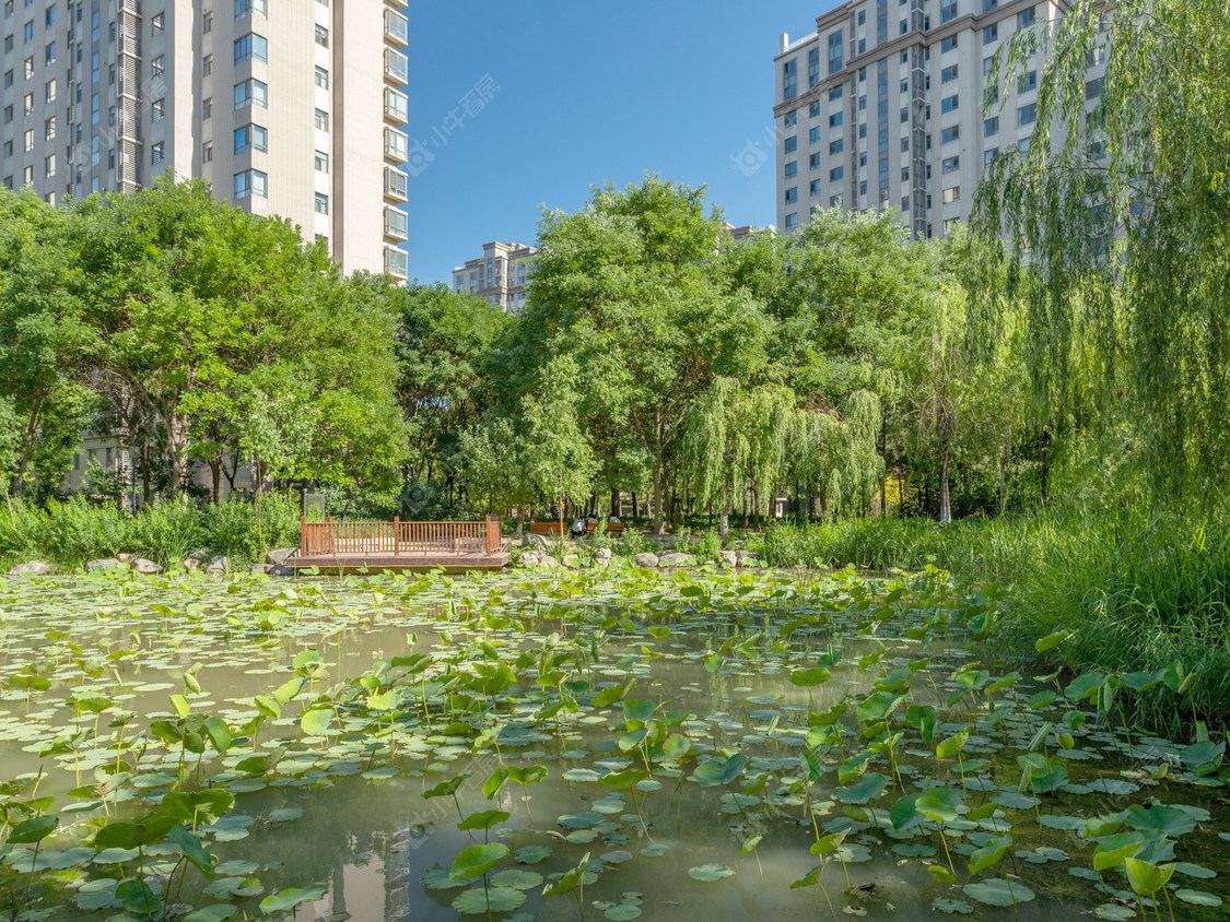 北京中信新城西区小区_中信新城西区小区null