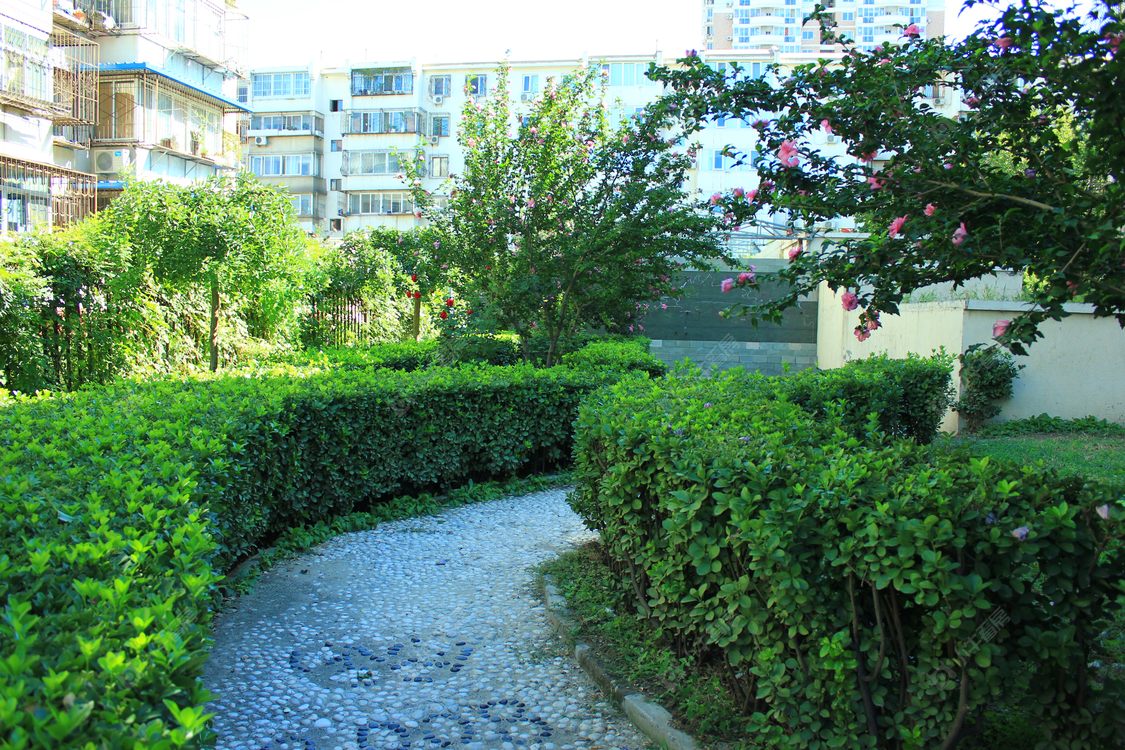 北京东花市北里东区小区_东花市北里东区小区null