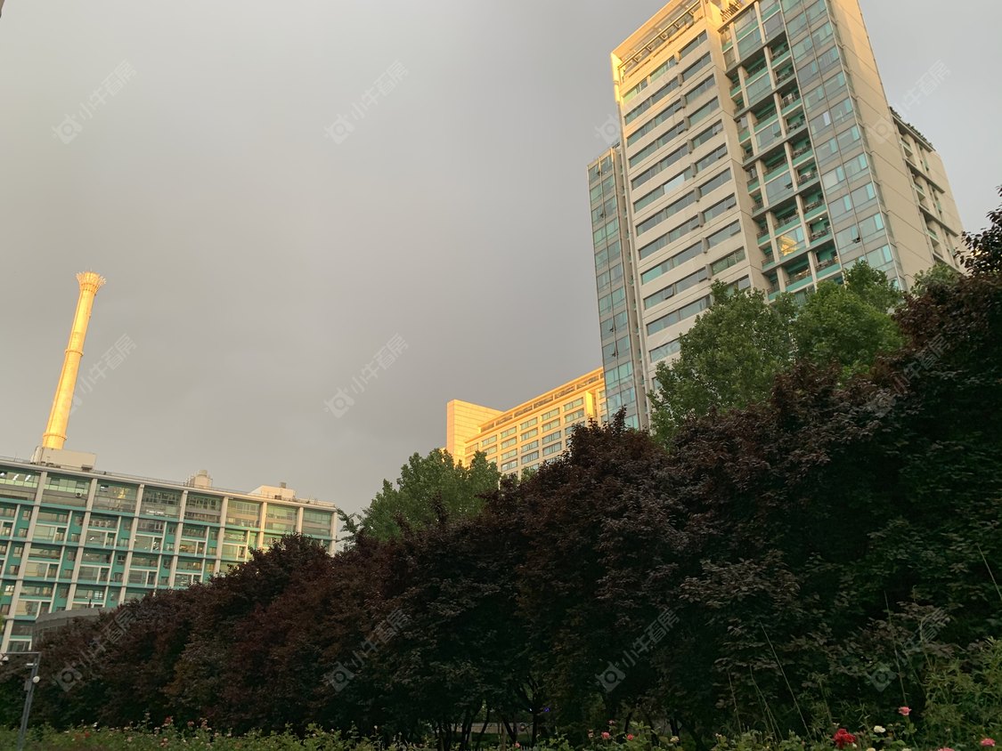 北京华贸公寓小区_华贸公寓小区null