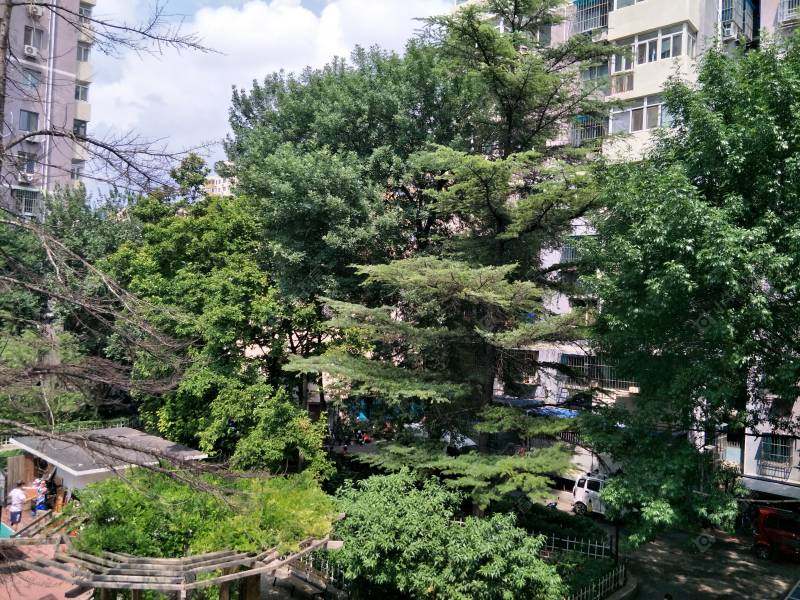 北京扣钟北里东区小区_扣钟北里东区小区null