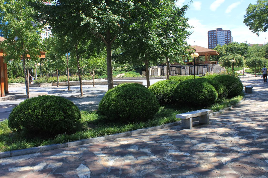 北京安定路小区_安定路小区null