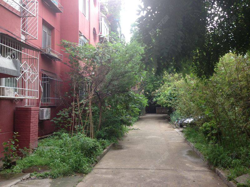 北京中关村发育所小区_中关村发育所小区null