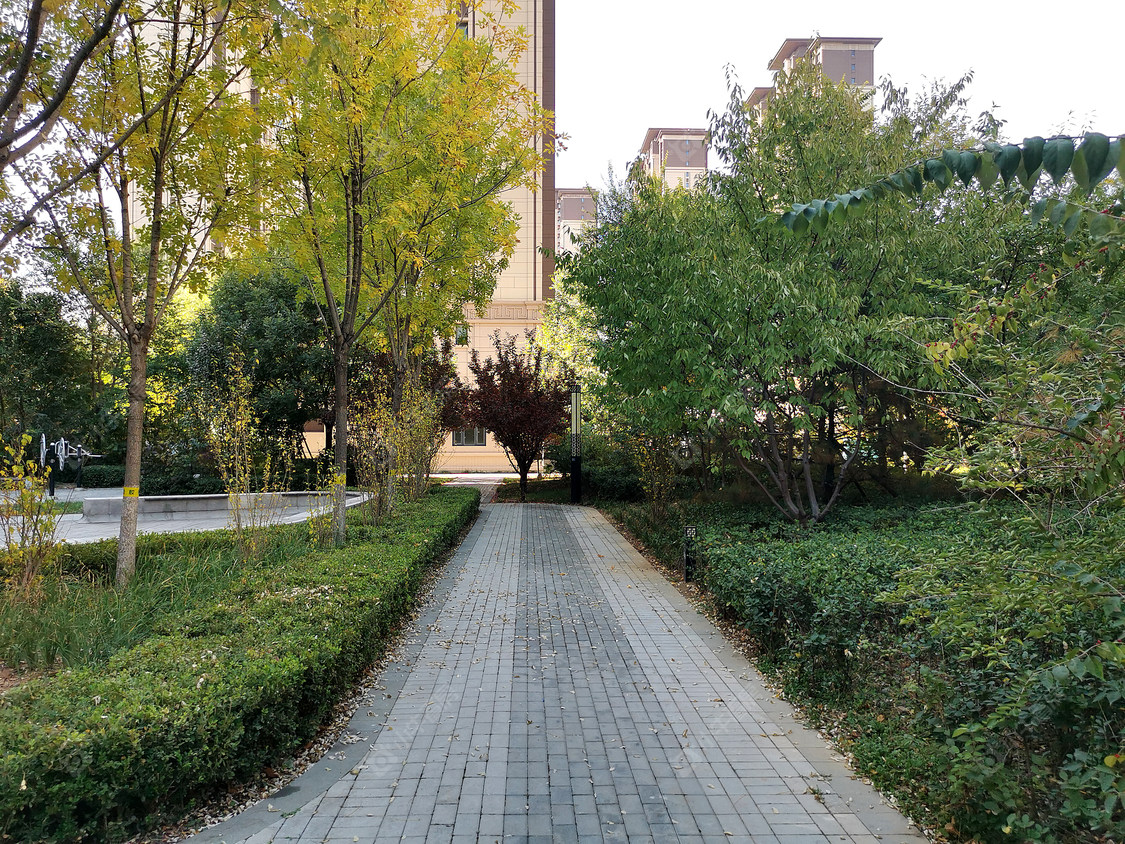 北京枫香苑小区_枫香苑小区null