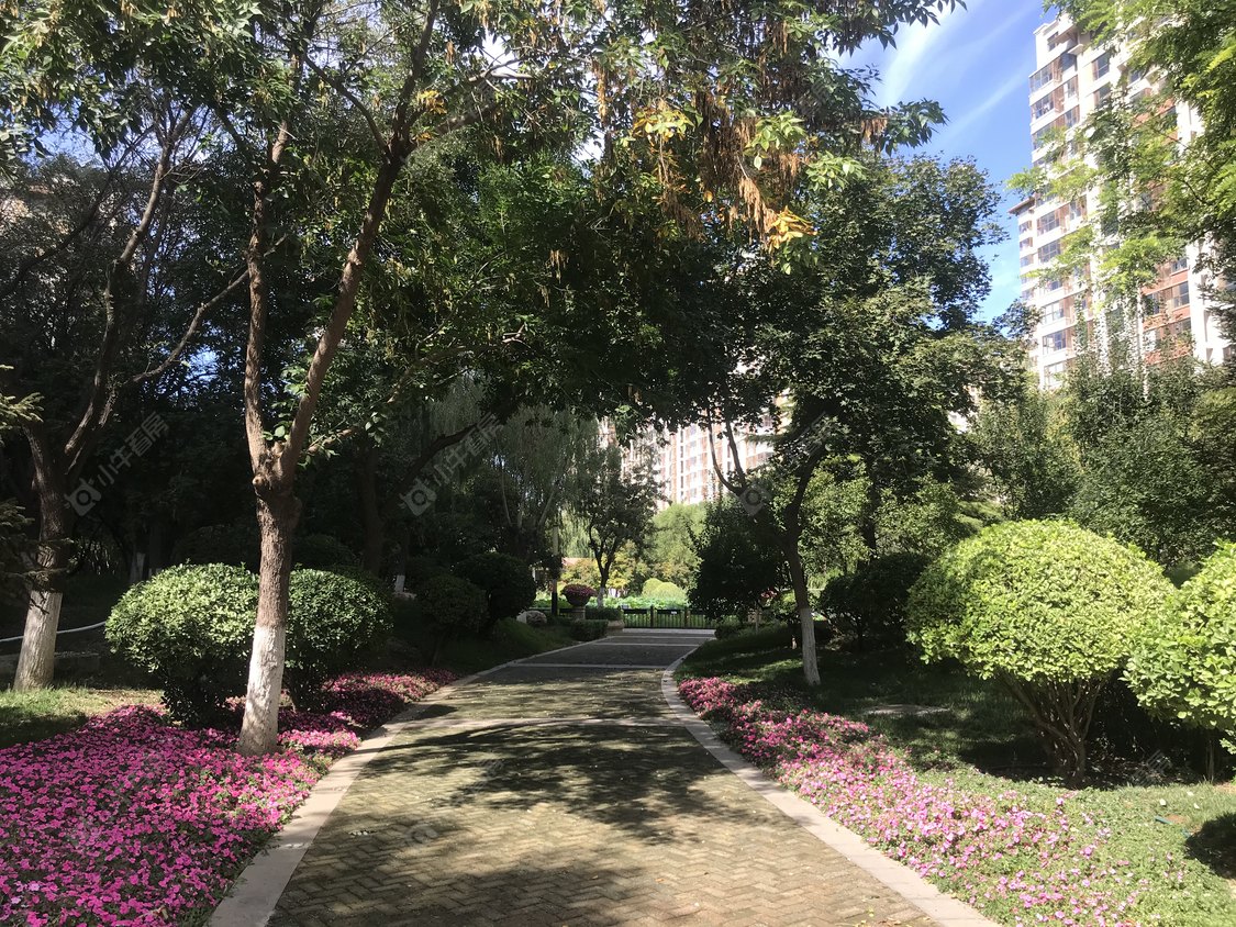 北京海棠公社南区小区_海棠公社南区小区null