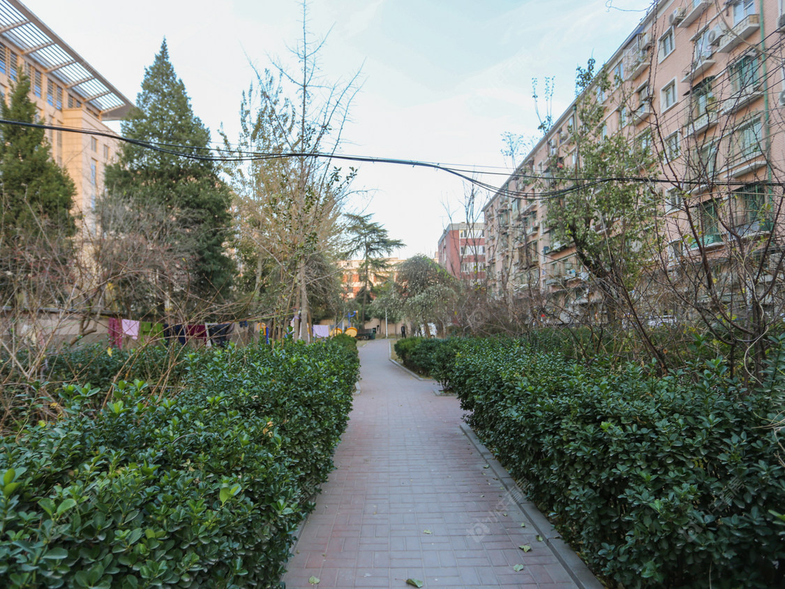 北京南礼士路三条北里小区_南礼士路三条北里小区null
