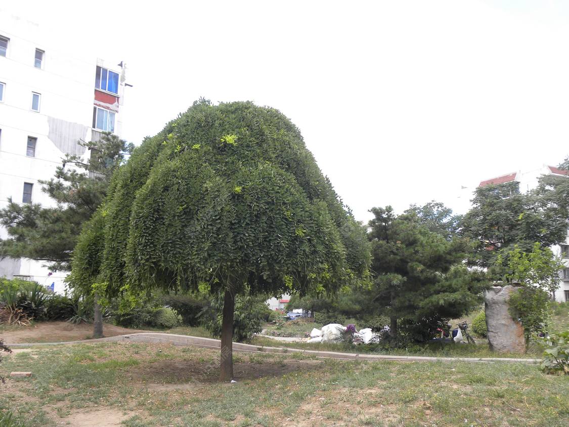 北京卢沟桥南里小区_卢沟桥南里小区null