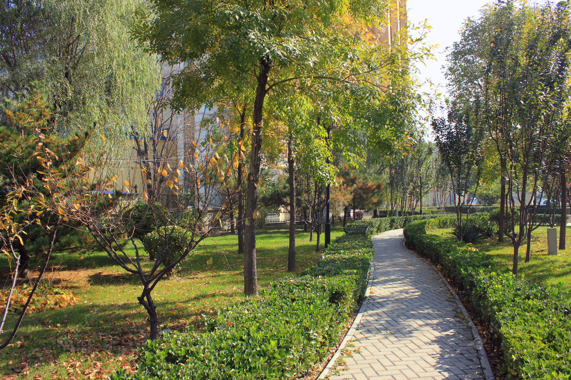 北京光讯花园小区_光讯花园小区null