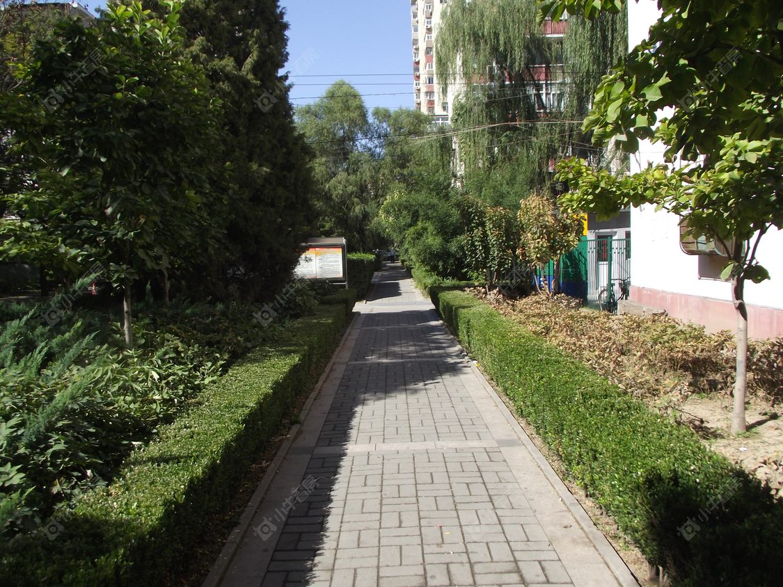 北京左家庄西街小区_左家庄西街小区null