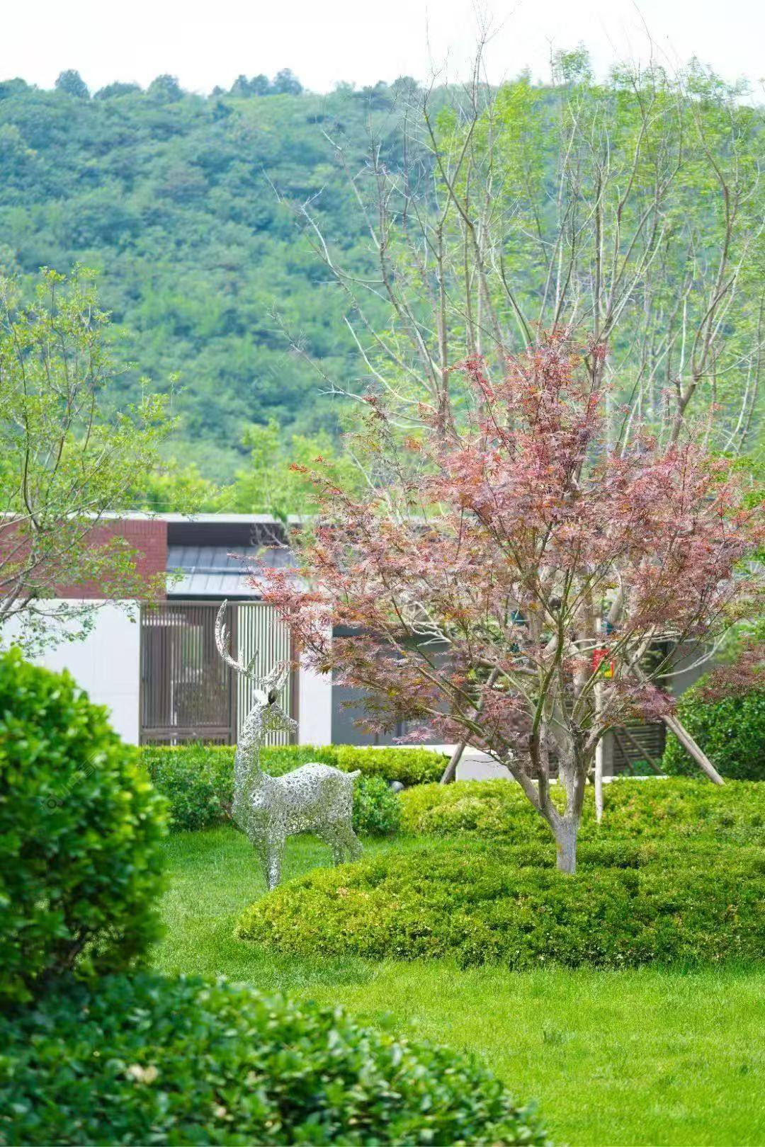北京中交·伴山观岚在售新楼盘null