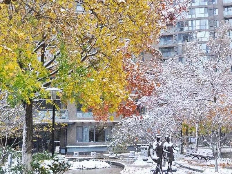 北京诚品建筑小区_诚品建筑小区null