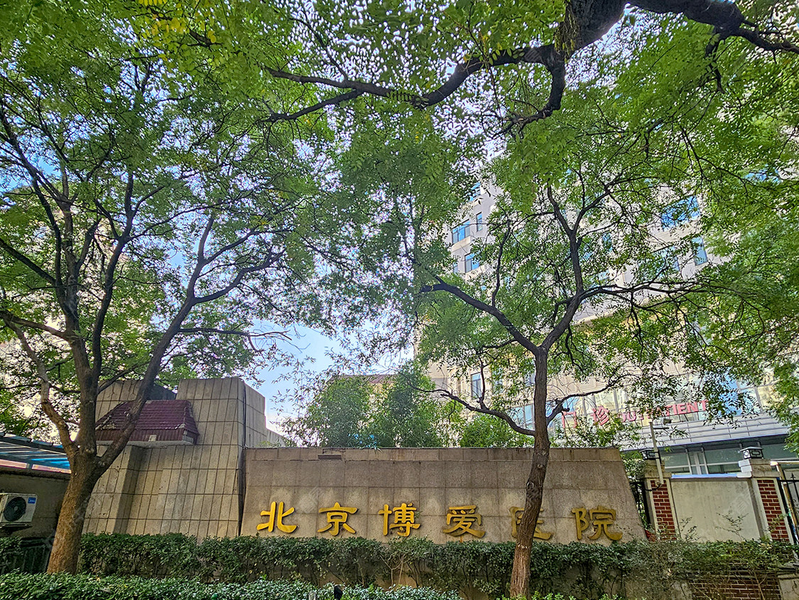 北京洋桥小区_洋桥小区null