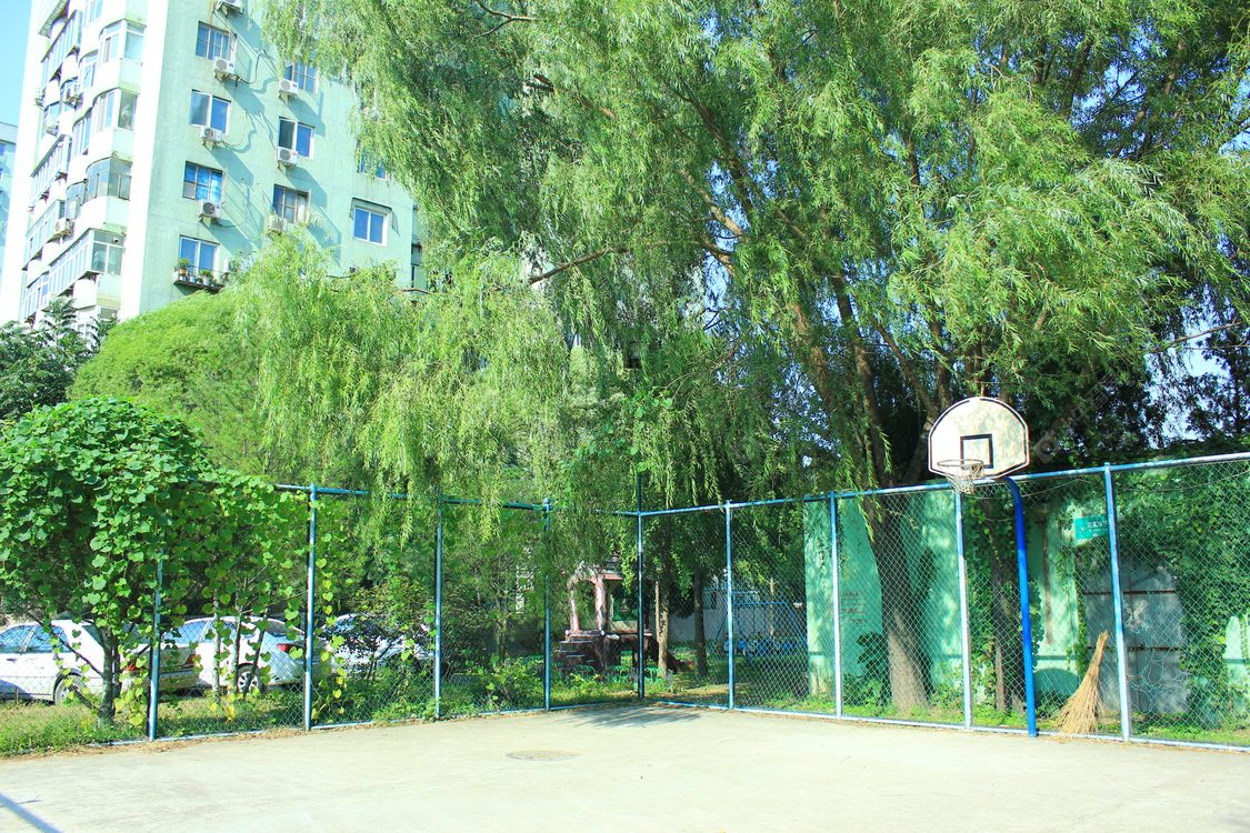 北京伯宁花园小区_伯宁花园小区null