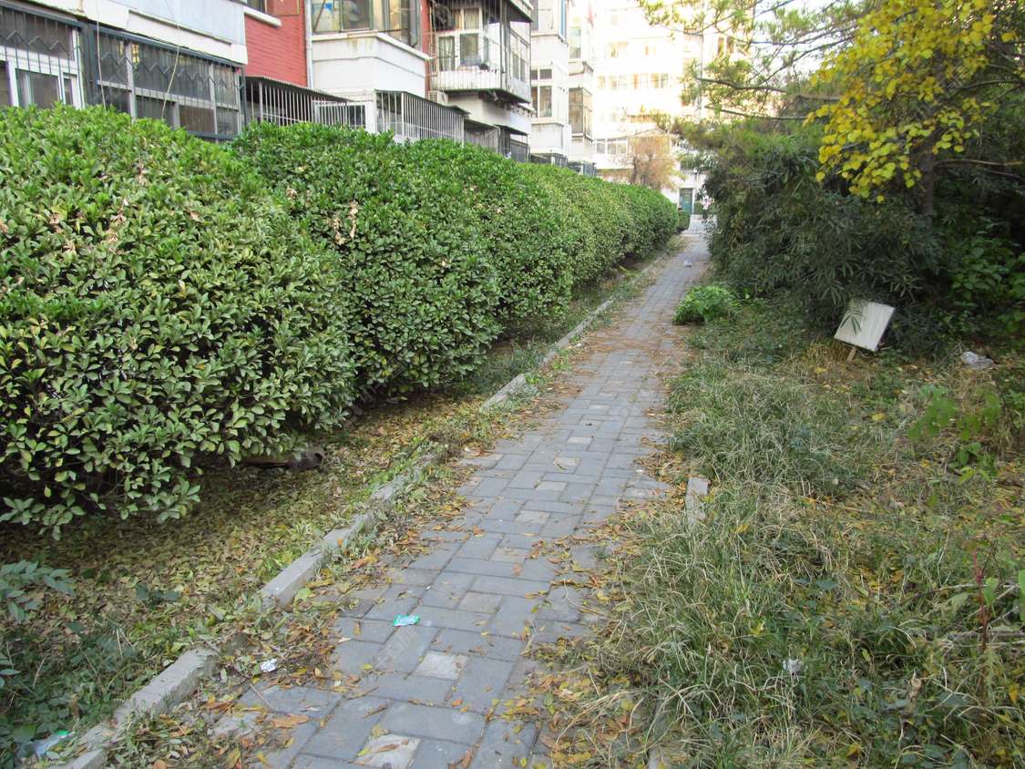 北京小黄庄前街小区_小黄庄前街小区null