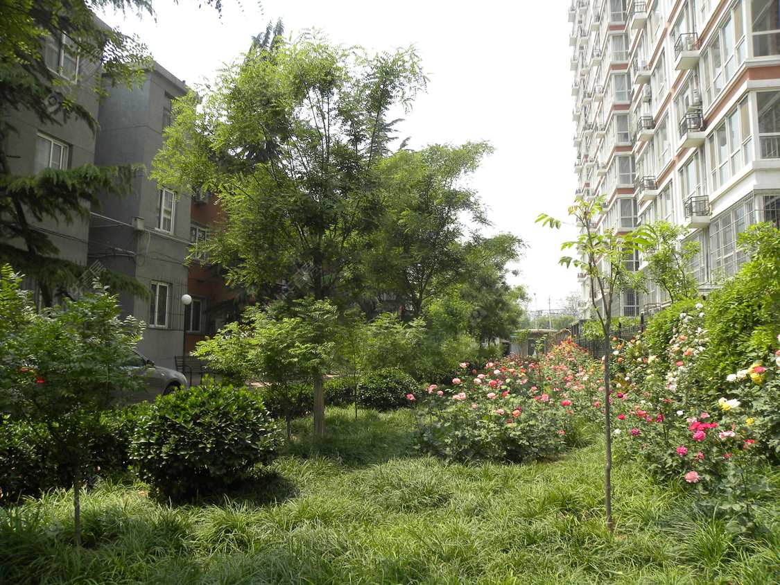 北京铁建大院小区_铁建大院小区null