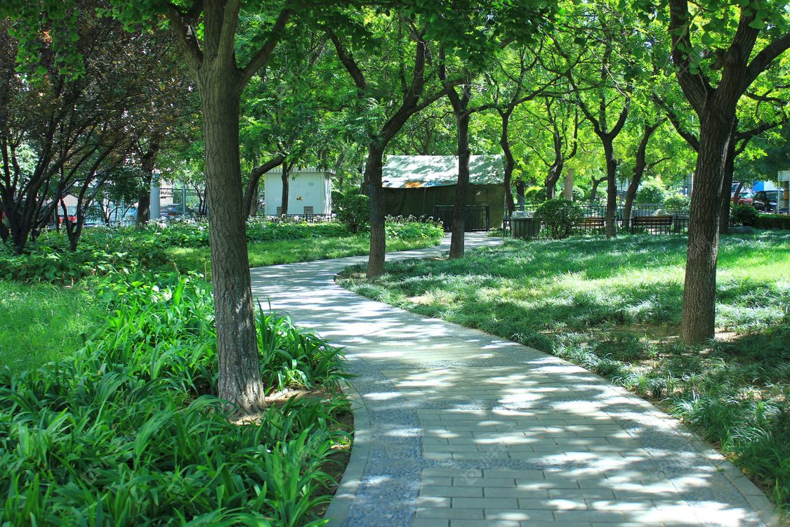 北京香河园街小区_香河园街小区null