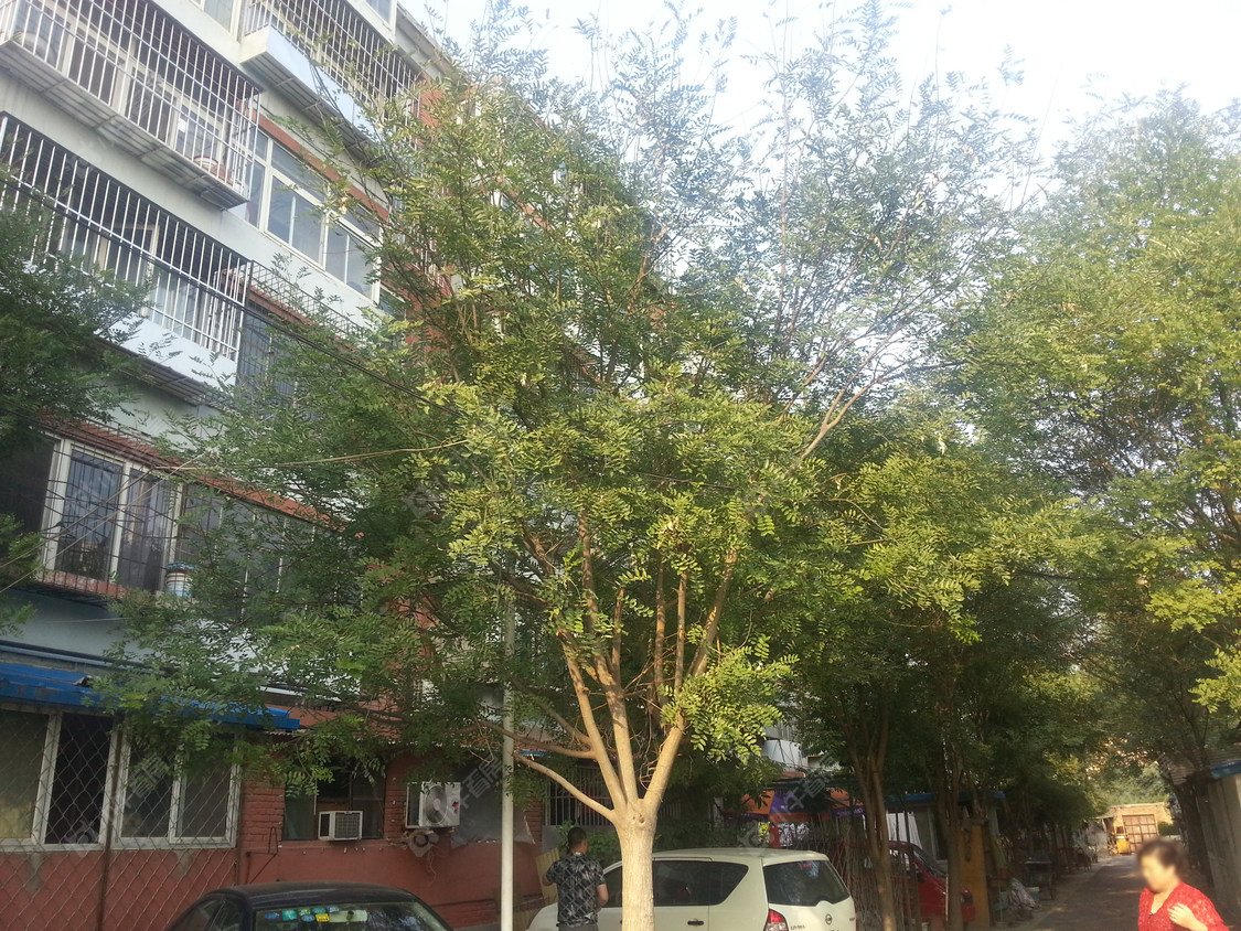 北京看丹路8号院小区_小牛看房
