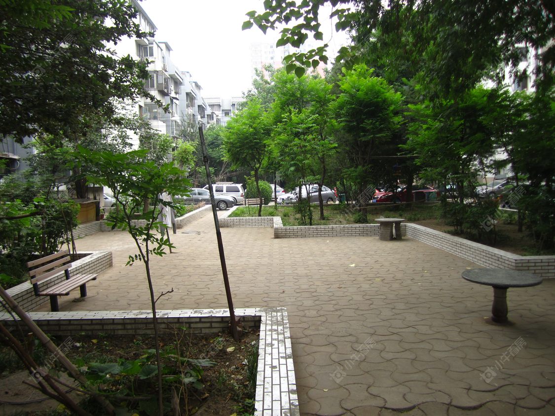 北京望园西里小区_望园西里小区null
