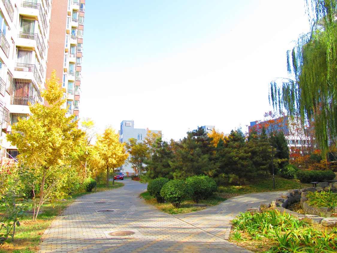 北京华龙美树小区_华龙美树小区null
