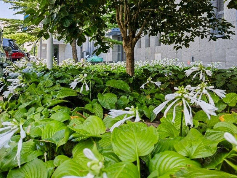 北京北四环东路小区_北四环东路小区null