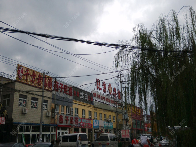 北京温哥华森林在售新楼盘null