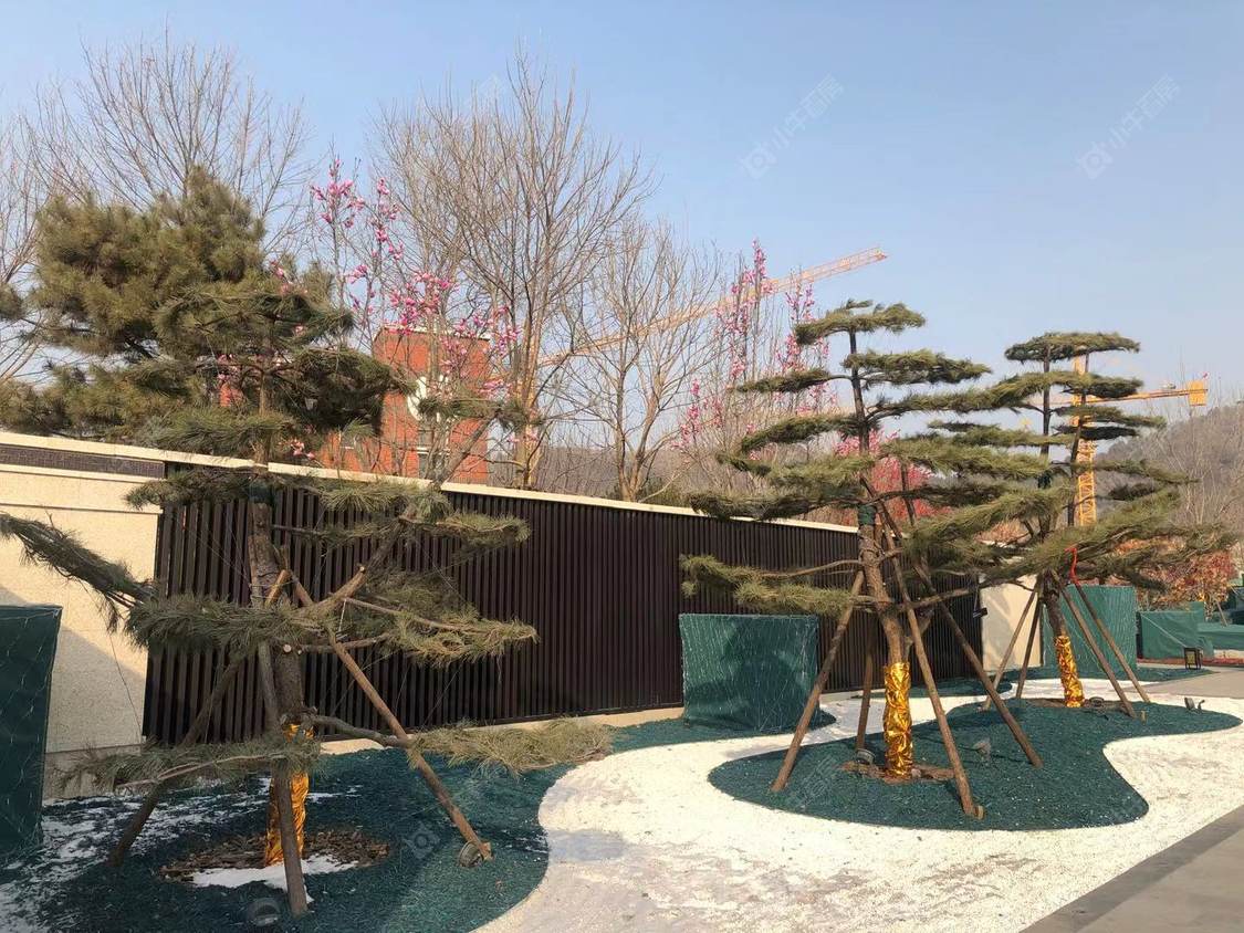 北京玖瀛府在售新楼盘null